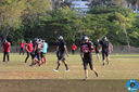 IMG_7125.jpg
