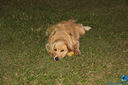 IMG_3507.jpg
