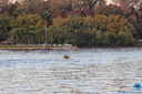 IMG_7870.jpg