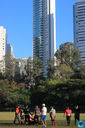IMG_8866.jpg