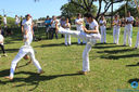 IMG_8746.jpg