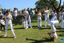 IMG_8749.jpg