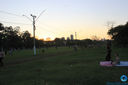 IMG_9955.jpg
