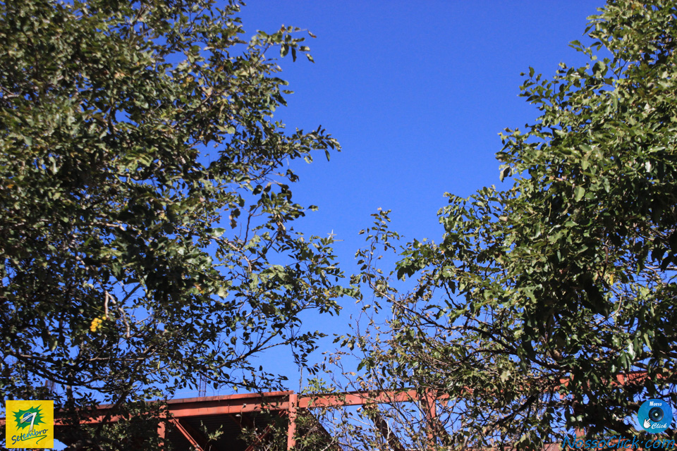 IMG_9786.jpg