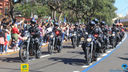 IMG_8964.jpg