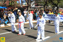 IMG_9512.jpg