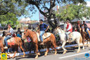 JIMG_0439.jpg