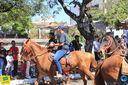 JIMG_0466.jpg