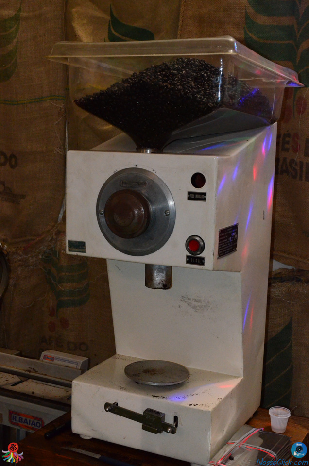 FDSC_0242.jpg