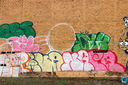 IMG_1493.jpg