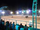 DSCN9997.JPG