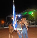 DSC_1552.JPG