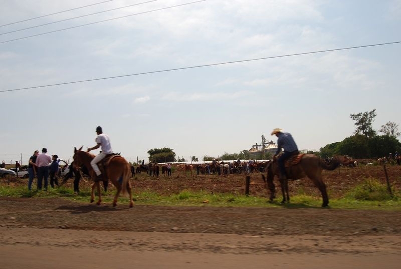 DSC_1835.JPG