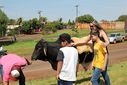 DSC_1816.JPG