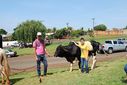 DSC_1817.JPG