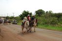 DSC_1853.JPG