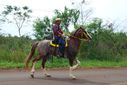 DSC_1917.JPG
