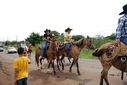 DSC_1926.JPG