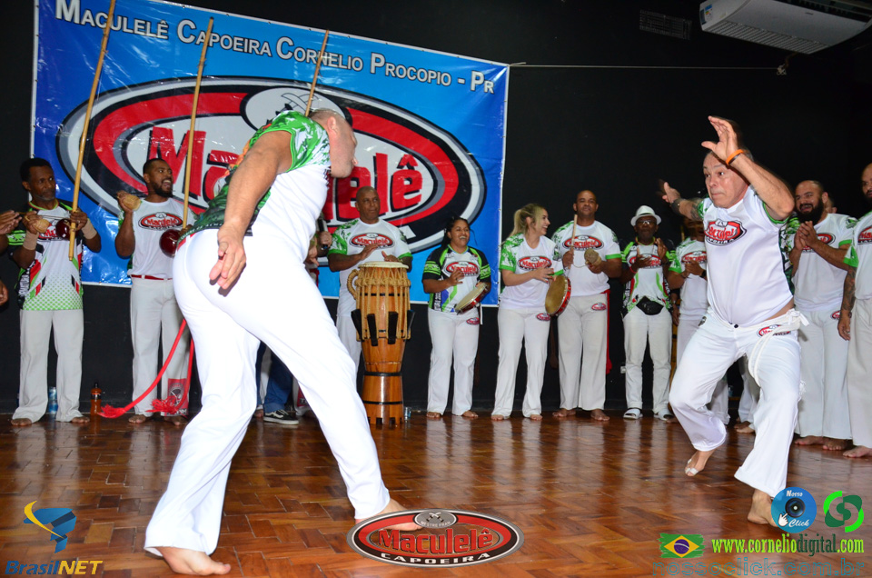 DSC_6565.jpg