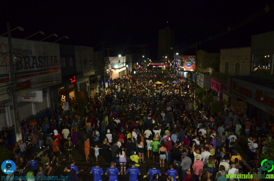 DSC_2480.jpg