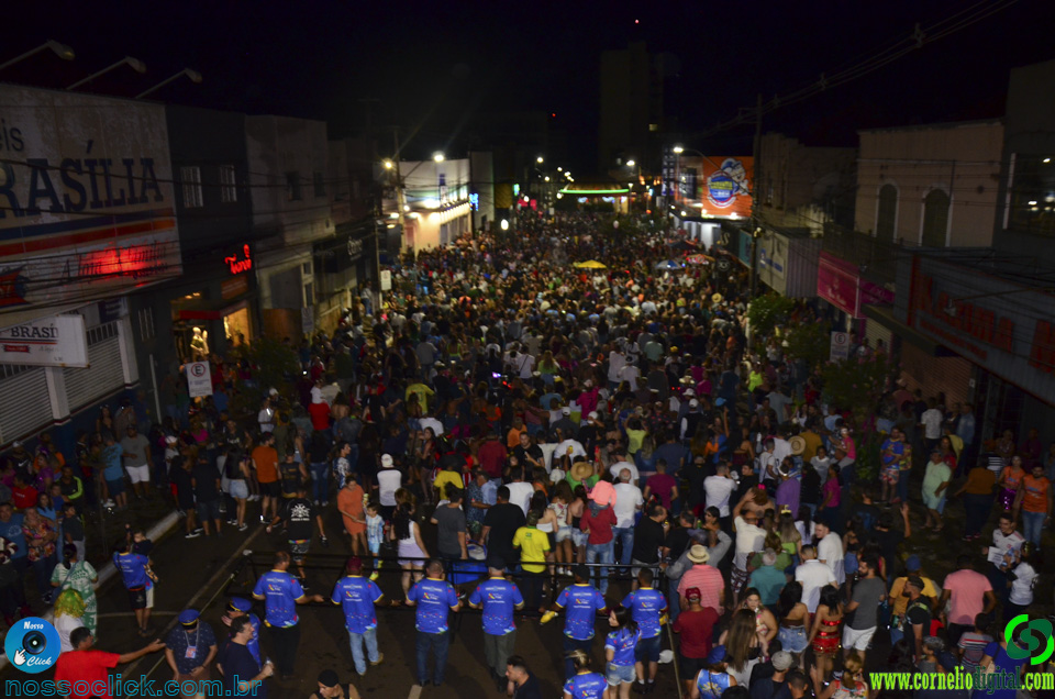 DSC_2481.jpg