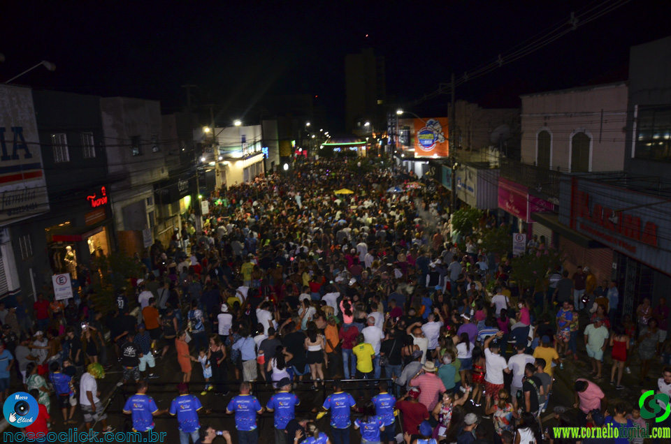 DSC_2482.jpg