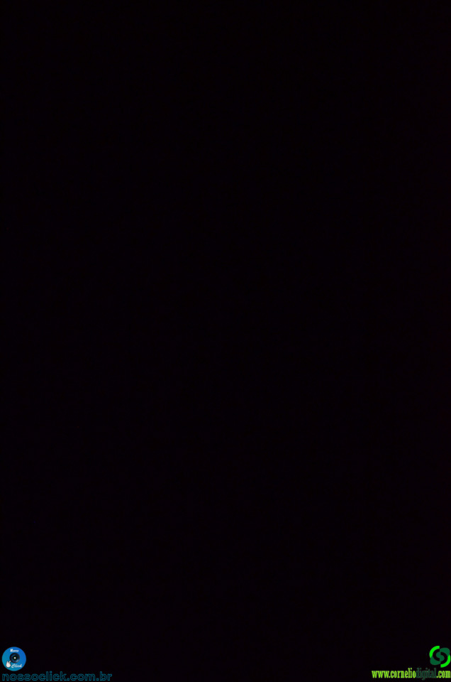 DSC_7402.jpg