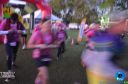 Filename=DSC_0915.jpg
Filesize=238KiB
Dimensions=960x636
Date added=Jul 25, 2023 DSC_0915.jpg