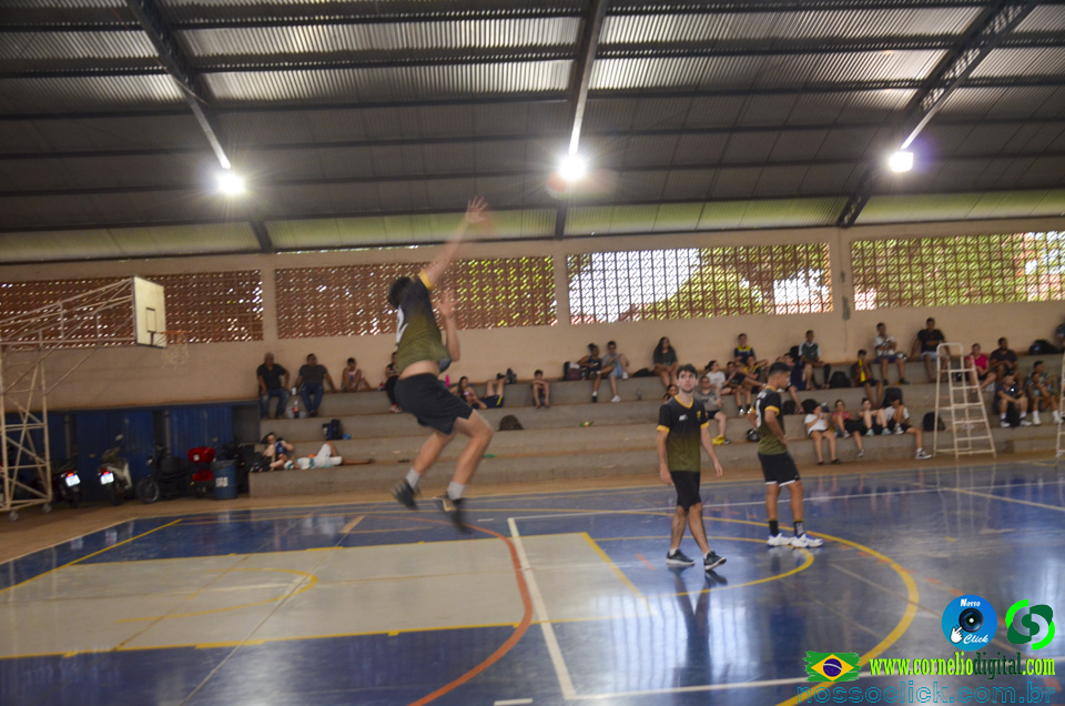 DSC_0146.jpg