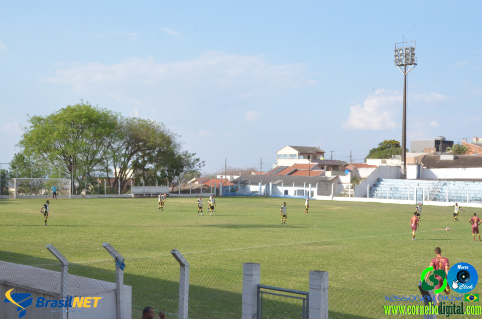 DSC_2575.jpg