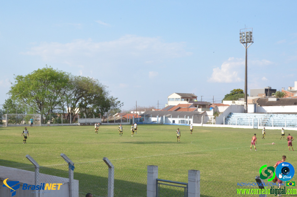 DSC_2576.jpg