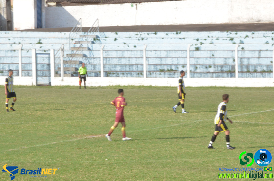 DSC_2593.jpg