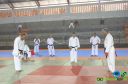 DSC_0383.jpg