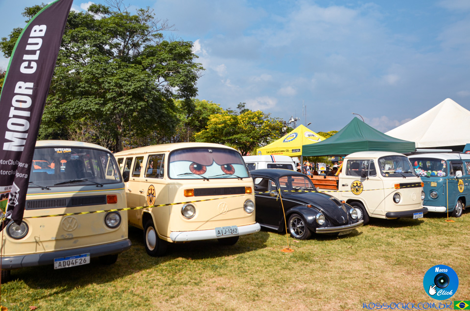 DSC_2779.jpg