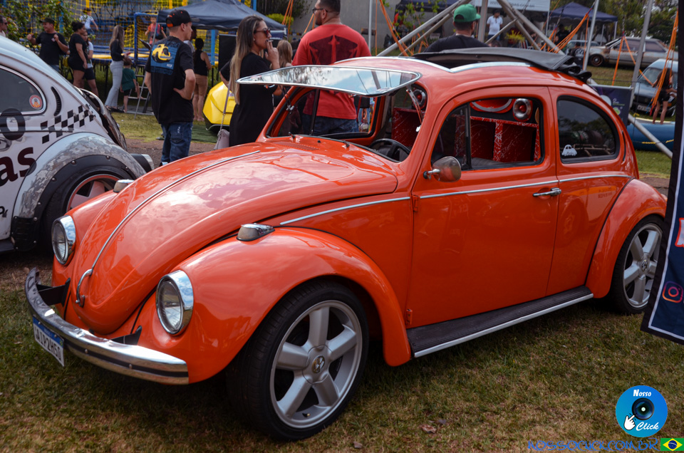DSC_2781.jpg