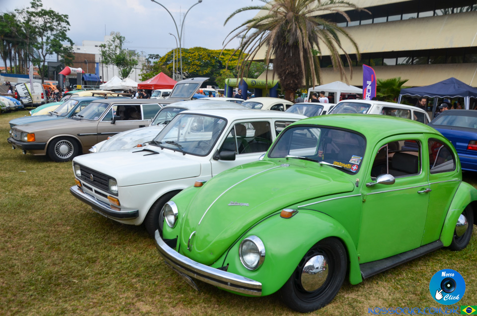 DSC_2825.jpg