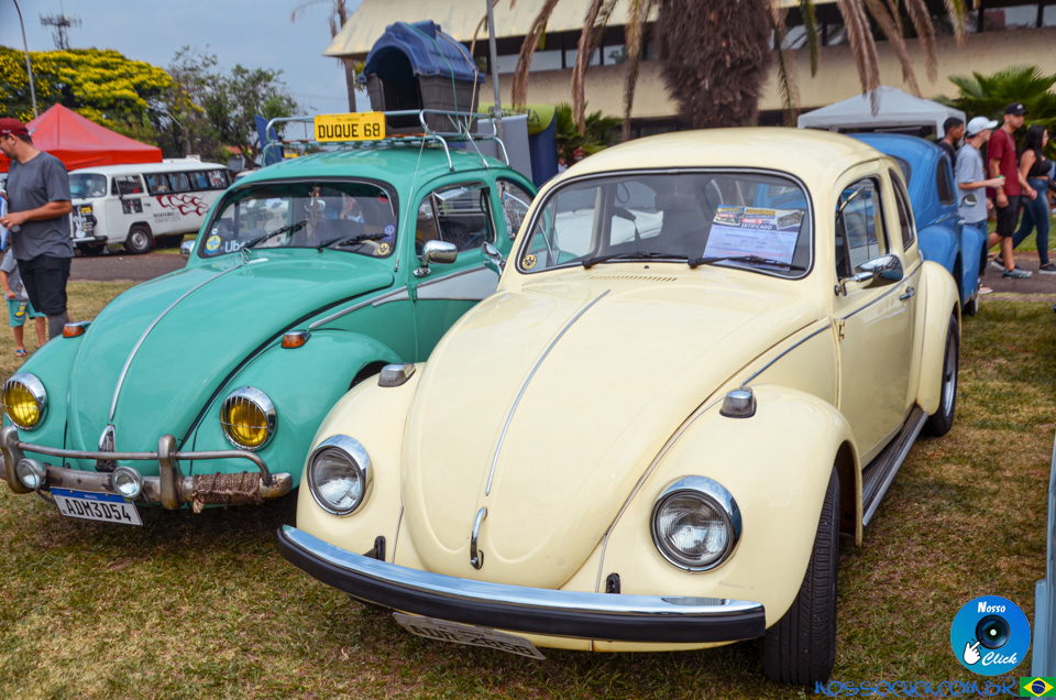 DSC_2829.jpg