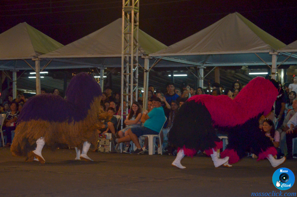 DSC_0838.jpg