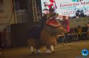 DSC_0818.jpg