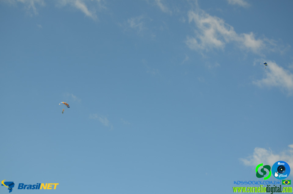 DSC_0029.jpg