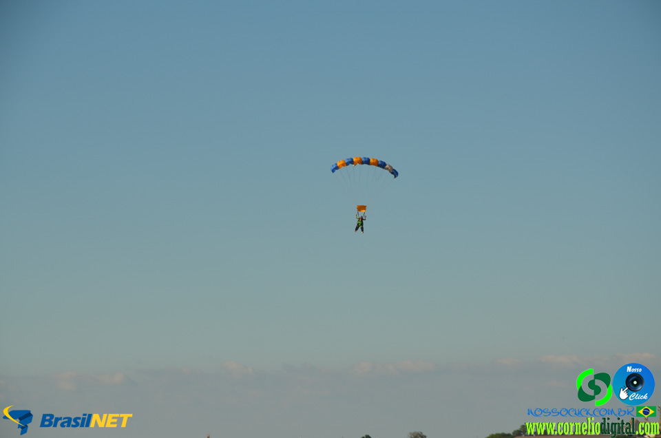 DSC_0031.jpg