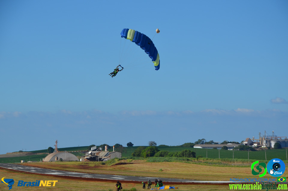 DSC_0038.jpg