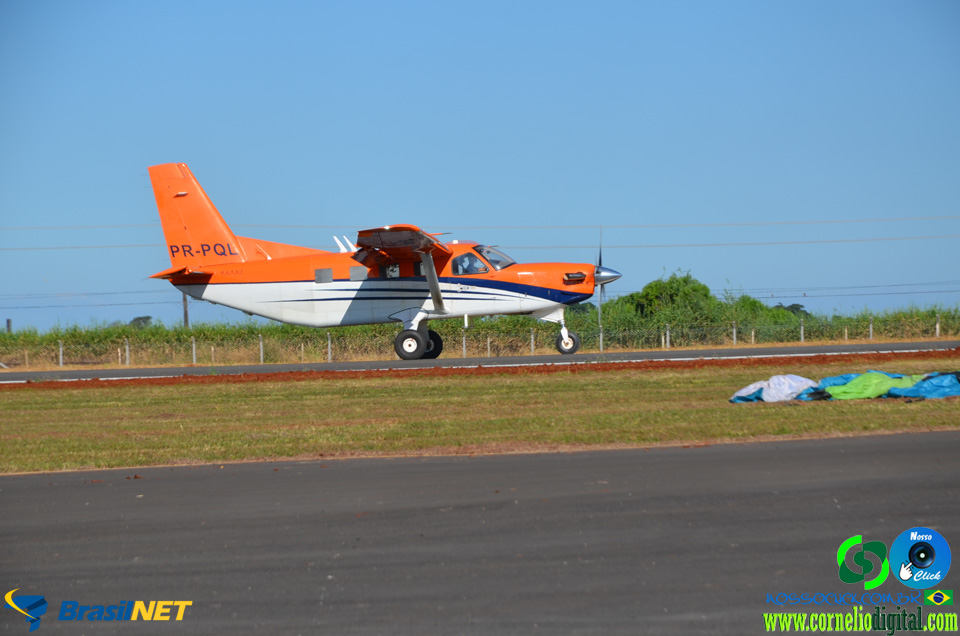 DSC_0050.jpg