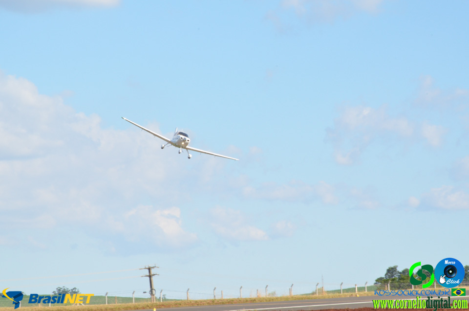 DSC_0091.jpg