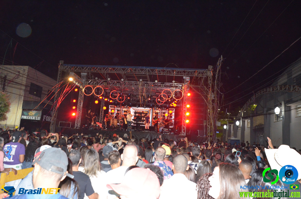 DSC_0710.jpg