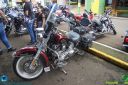 IMG_4875.jpg