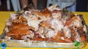 DSC_0242.jpg