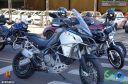 DSC_4305.jpg