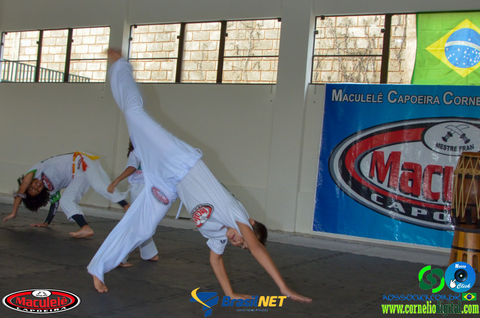 DSC_8372.jpg