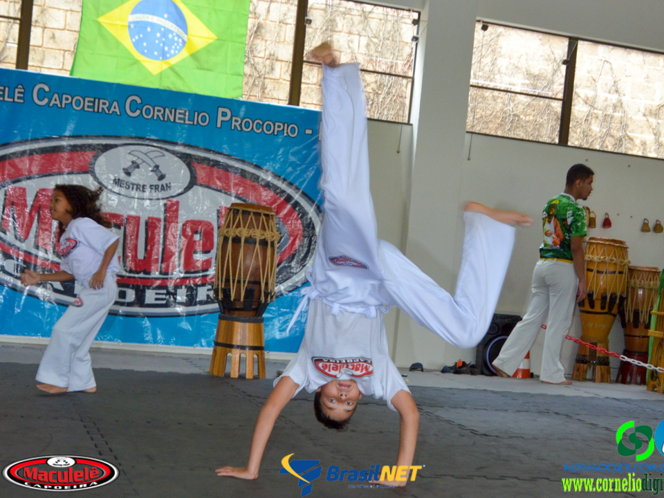 DSC_8377.jpg